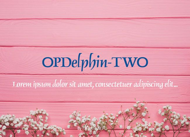 OPDelphin-TWO example