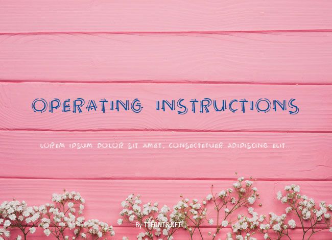 Operating instructions example