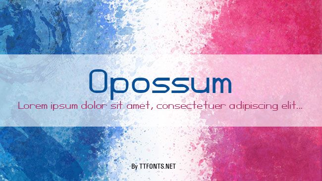 Opossum example