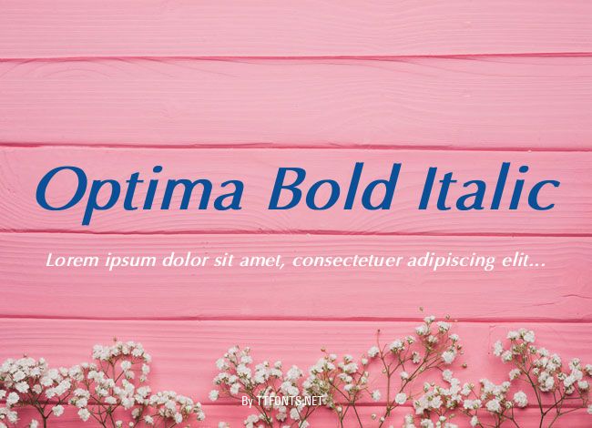 Optima Bold Italic example