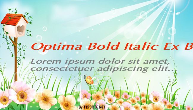 Optima Bold Italic Ex BI example
