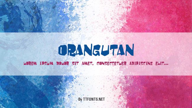Orangutan example