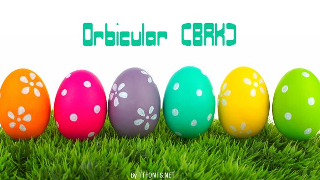 Orbicular (BRK) example
