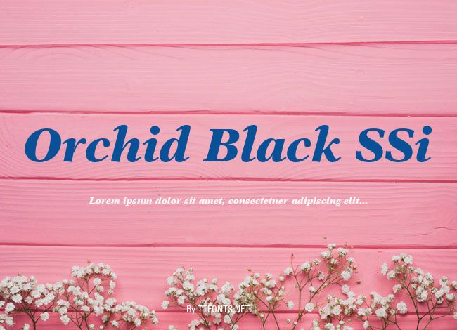 Orchid Black SSi example