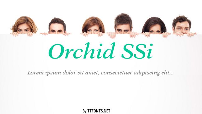 Orchid SSi example