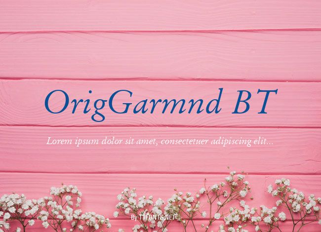 OrigGarmnd BT example