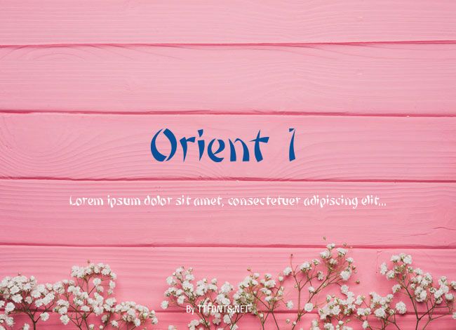 Orient 1 example