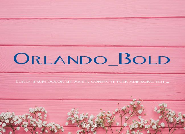 Orlando_Bold example