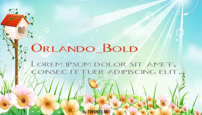 Orlando_Bold example