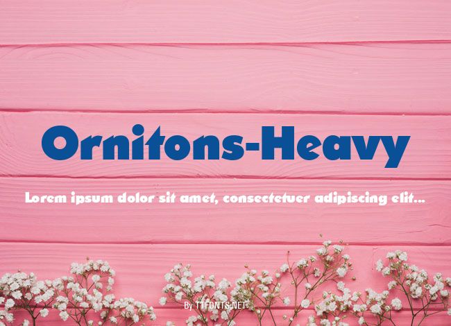 Ornitons-Heavy example