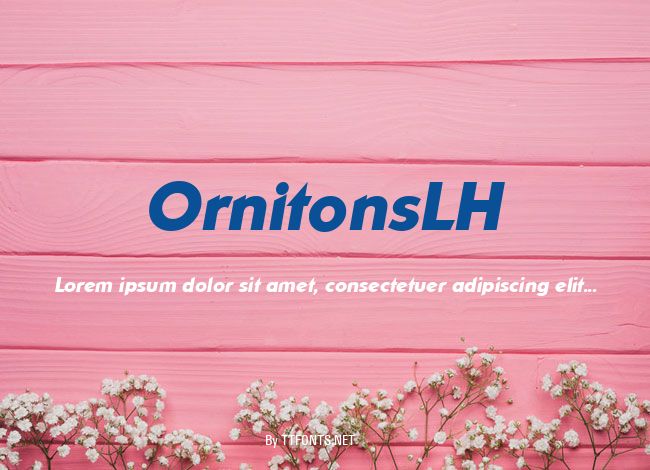 OrnitonsLH example