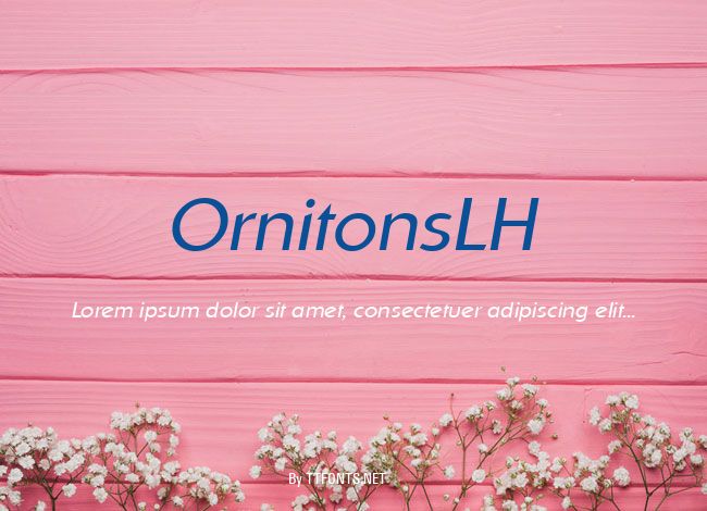 OrnitonsLH example