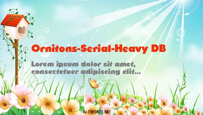 Ornitons-Serial-Heavy DB example