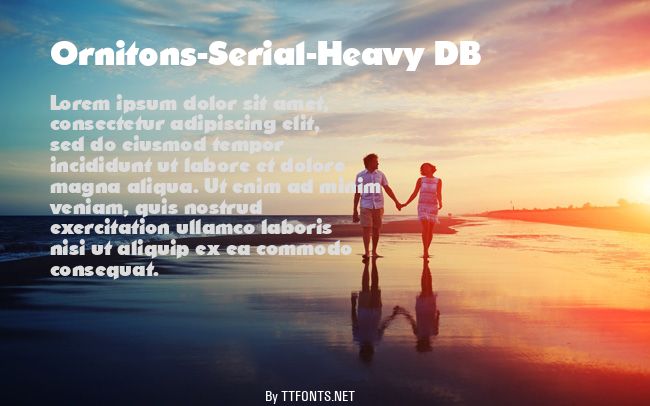 Ornitons-Serial-Heavy DB example