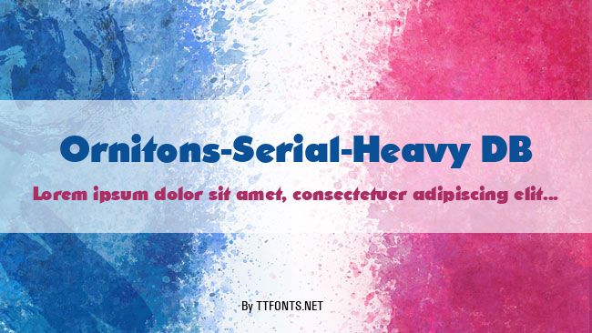 Ornitons-Serial-Heavy DB example