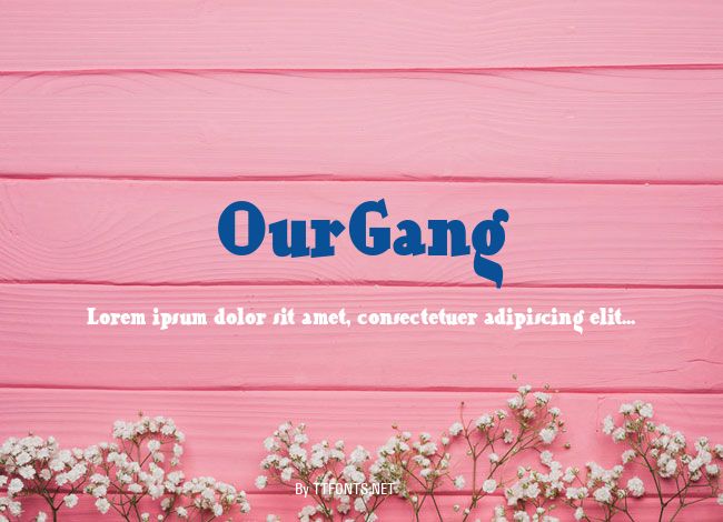 OurGang example