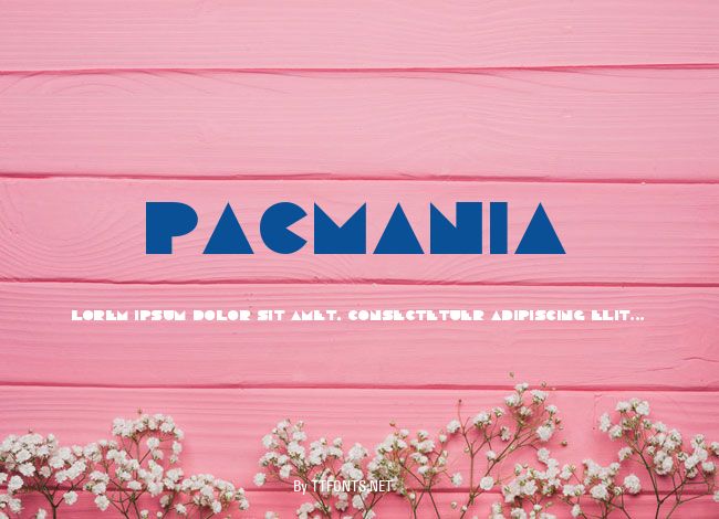 Pacmania example