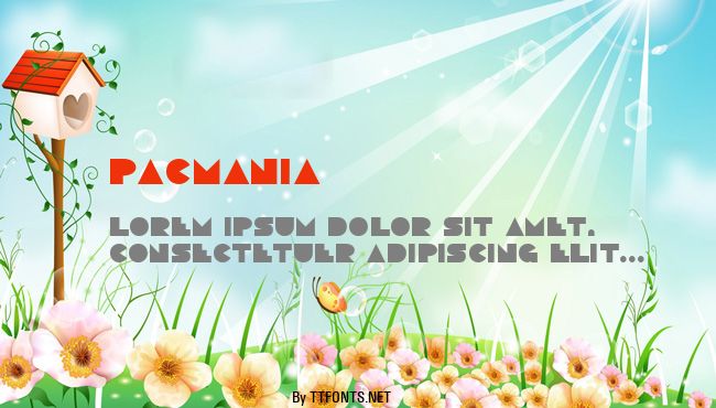 Pacmania example