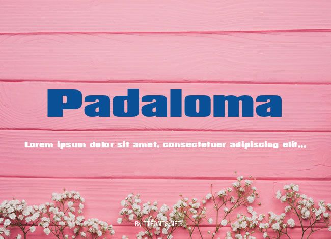 Padaloma example