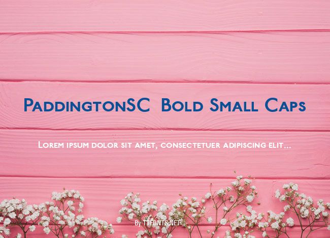 PaddingtonSC  Bold Small Caps example