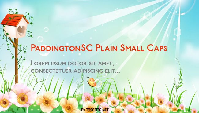 PaddingtonSC Plain Small Caps example