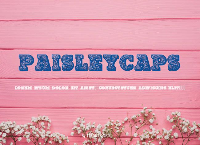 PaisleyCaps example