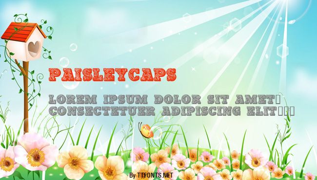 PaisleyCaps example