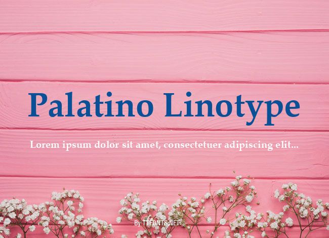 Palatino Linotype example