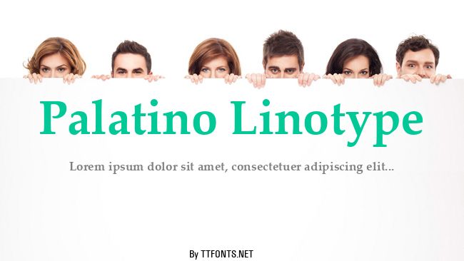 Palatino Linotype example
