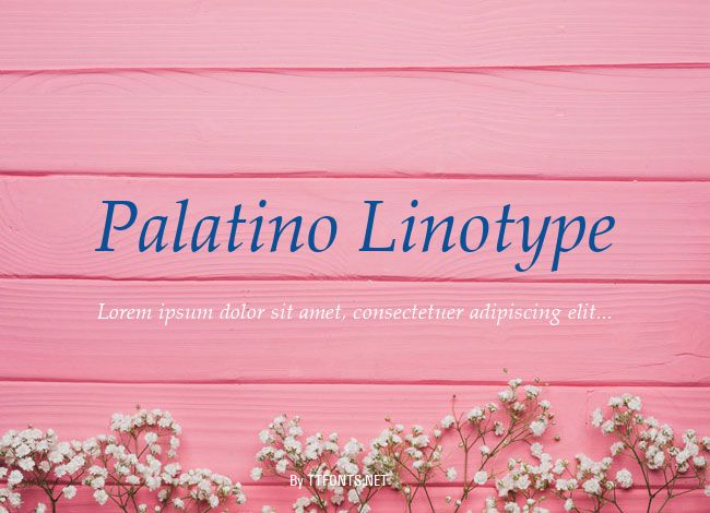 Palatino Linotype example