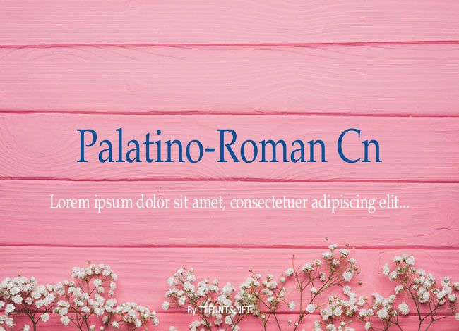Palatino-Roman Cn example