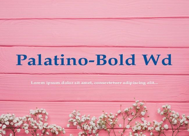 Palatino-Bold Wd example