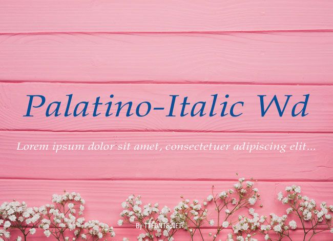 Palatino-Italic Wd example