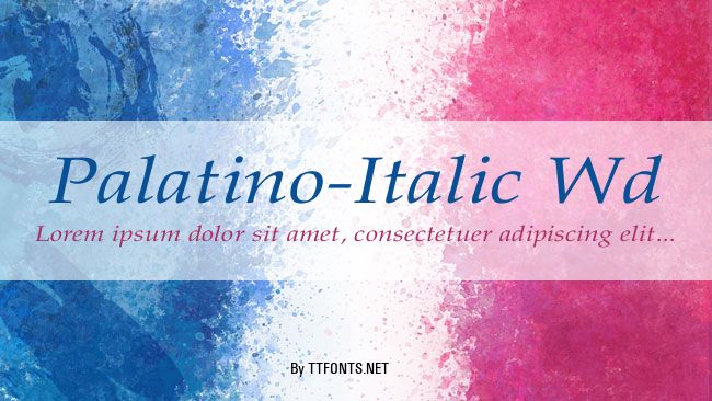 Palatino-Italic Wd example