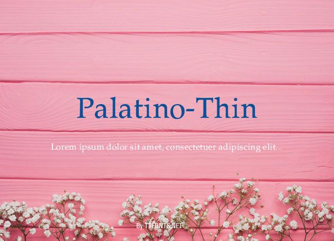 Palatino-Thin example