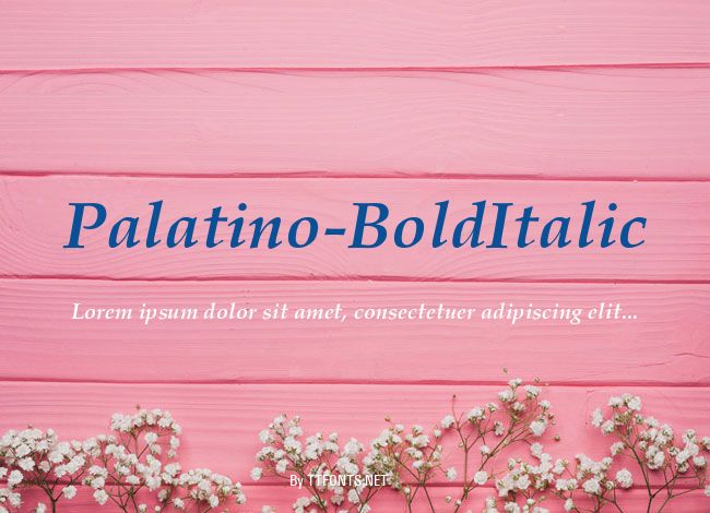 Palatino-BoldItalic example