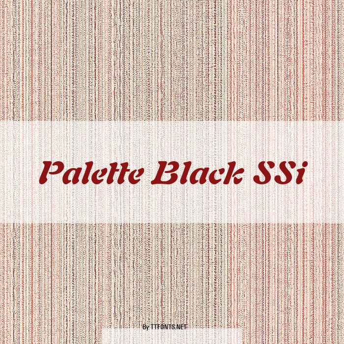 Palette Black SSi example