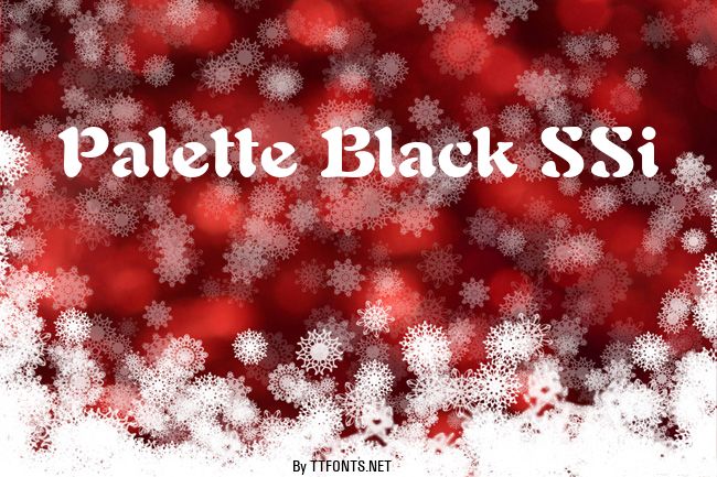 Palette Black SSi example