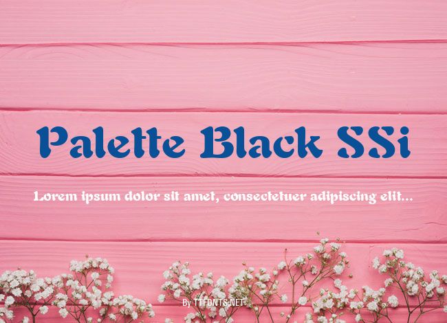 Palette Black SSi example