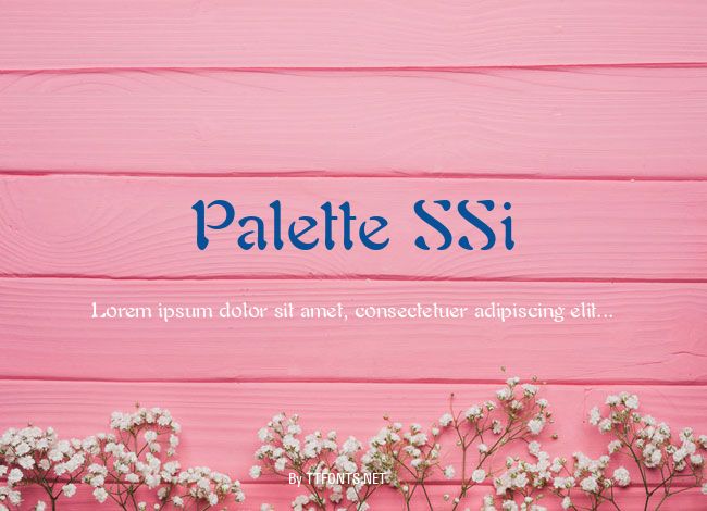 Palette SSi example