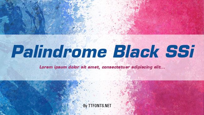 Palindrome Black SSi example