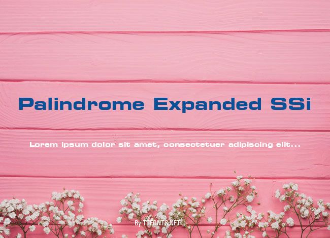 Palindrome Expanded SSi example