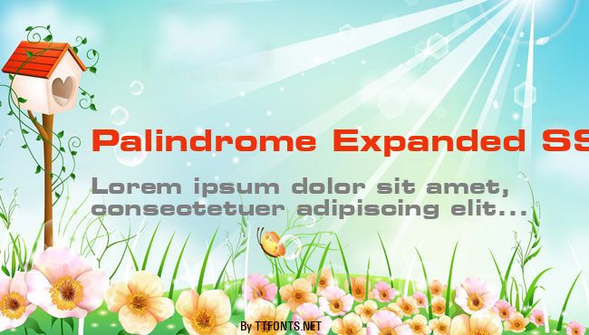 Palindrome Expanded SSi example