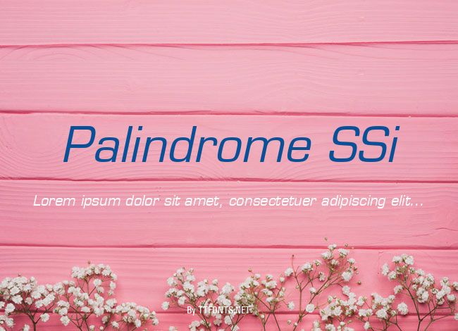 Palindrome SSi example