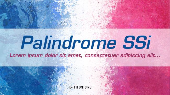 Palindrome SSi example