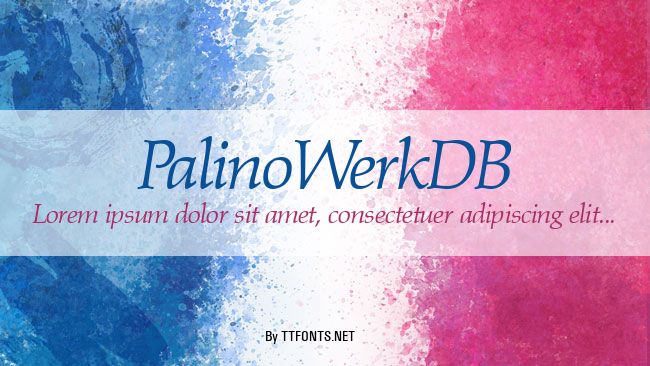PalinoWerkDB example