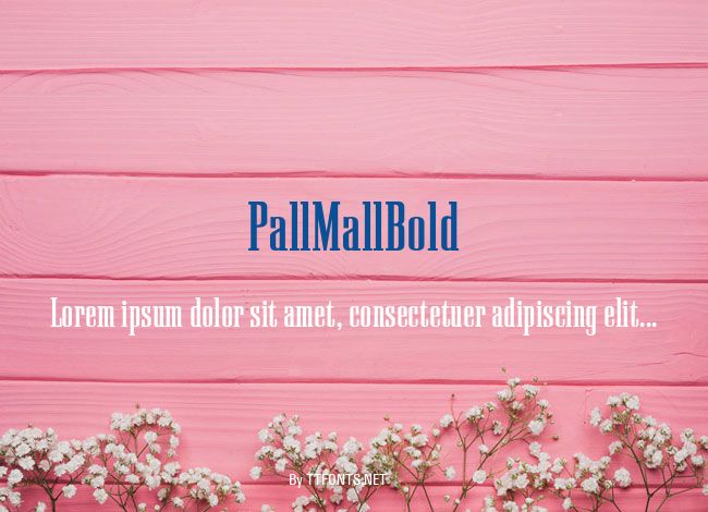 PallMallBold example