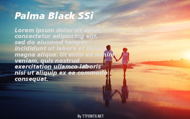 Palma Black SSi example