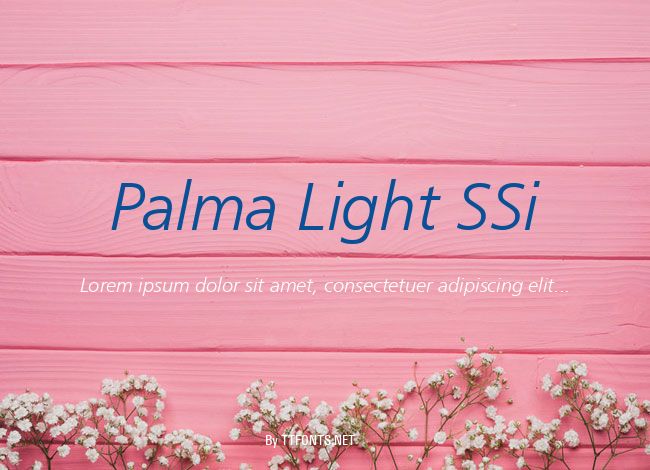 Palma Light SSi example