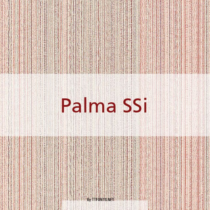 Palma SSi example